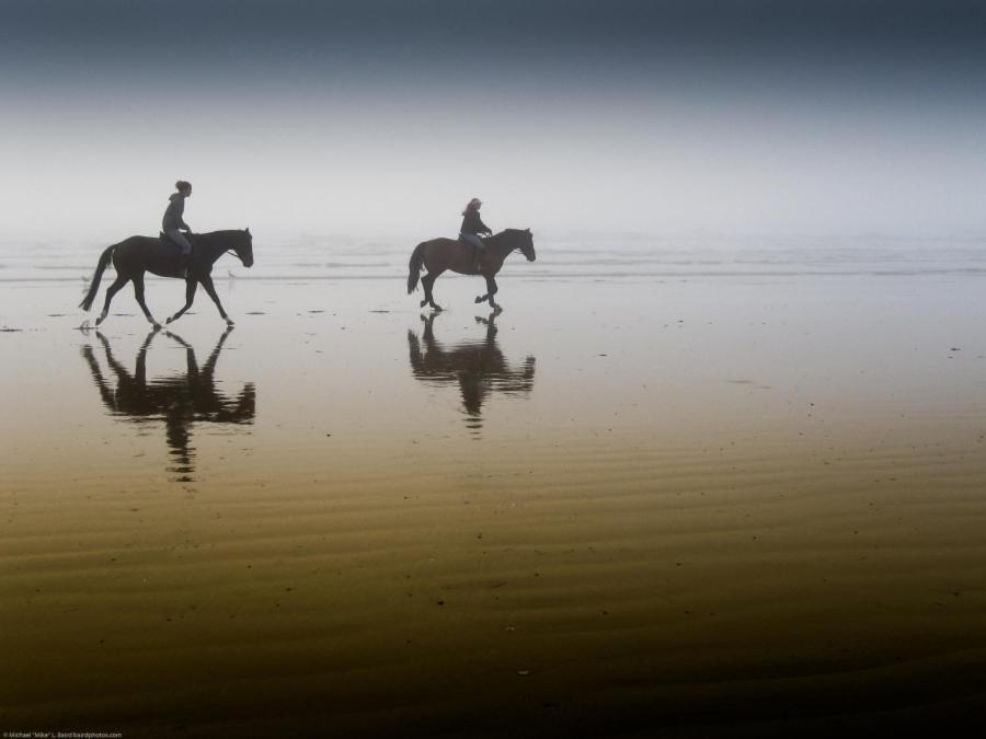 Hotel Victoria Bergen aan Zee Exteriér fotografie